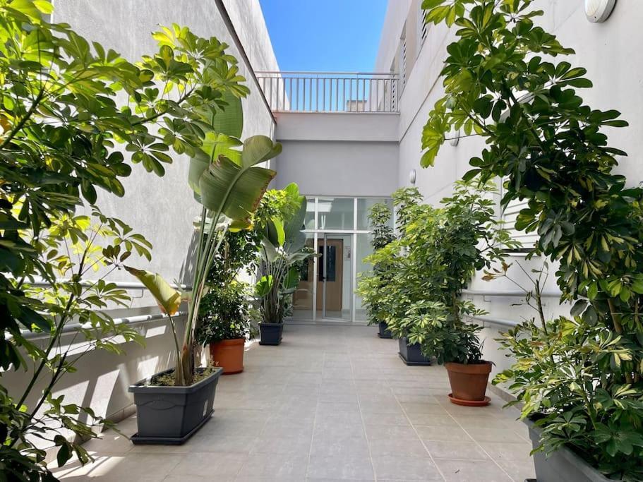 Playa 2 Apartment *