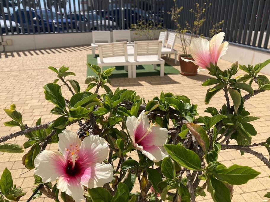 Apartment Playa 2 Torrox